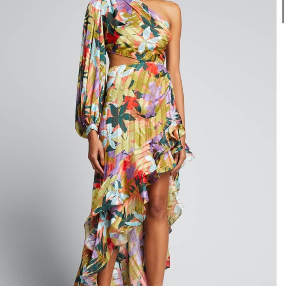 Bronx and Banco - Picture 4 of 4